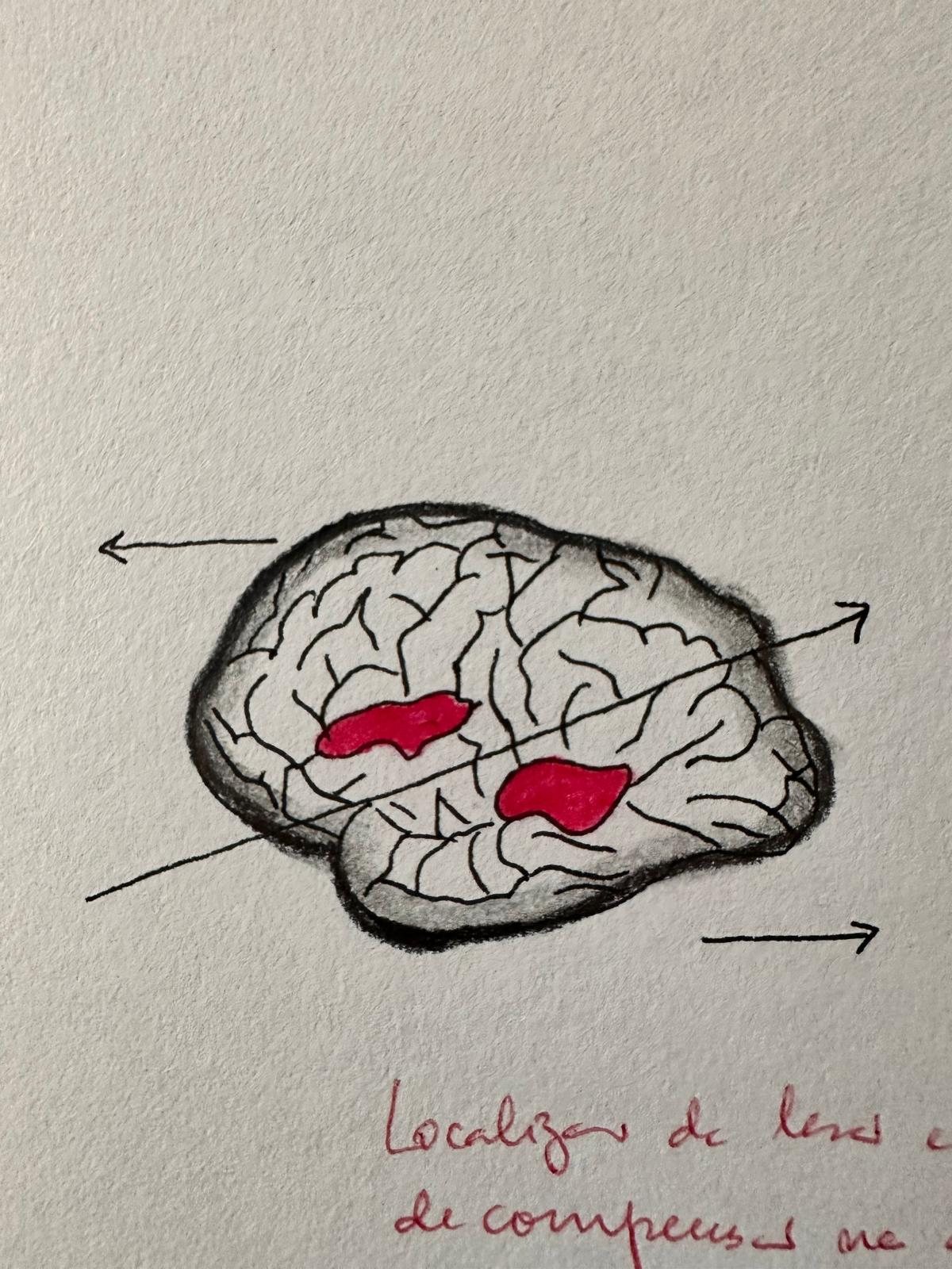 Diagrama de mapeamento craniano da Área Quietus