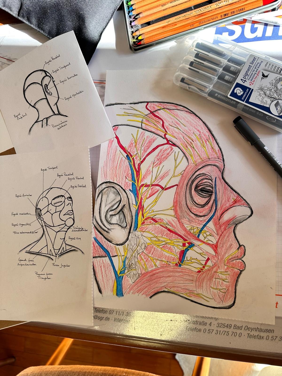 Diagrama de mapeamento craniano da Área Phoenix
